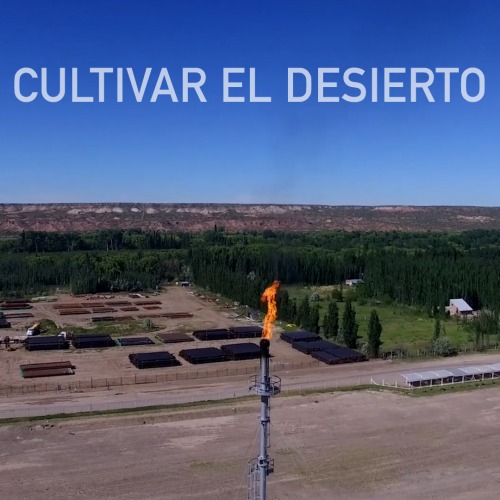 CULTIVAR EL DESIERTO