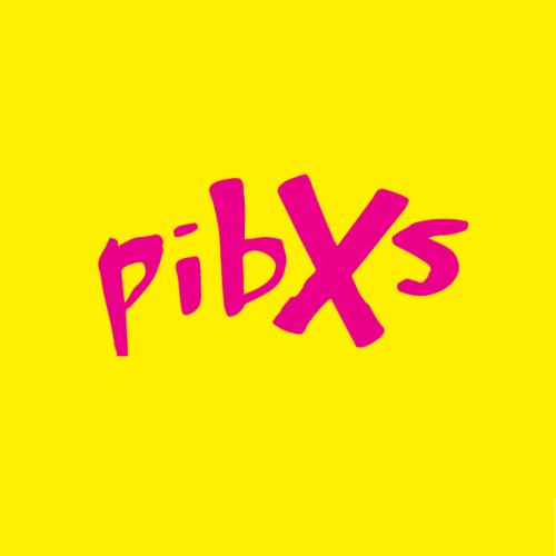 PIBXS