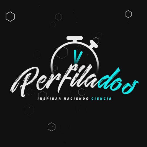 PERFILADOS