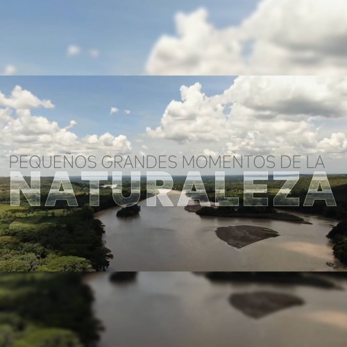 PEQUEOS GRANDES MOMENTOS DE LA NATURALEZA