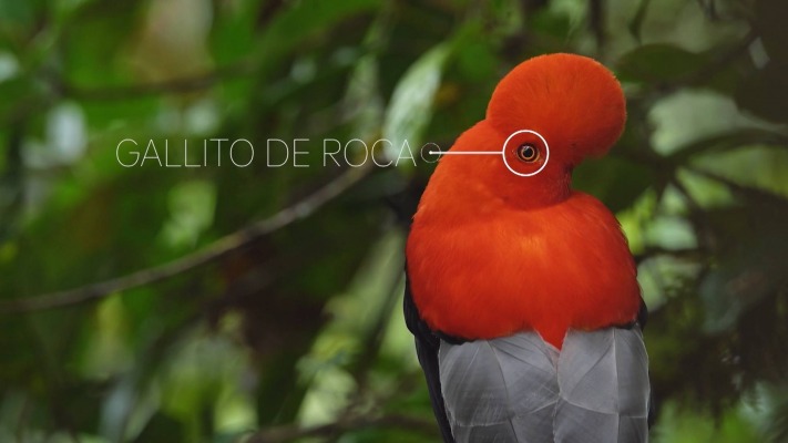 Episodio 12: 