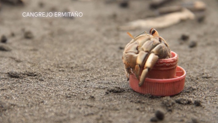 Episodio 16: 