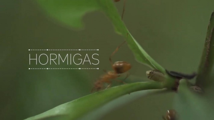 Episodio 09: 