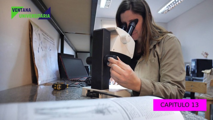 VENTANA UNIVERSITARIA CAP 13