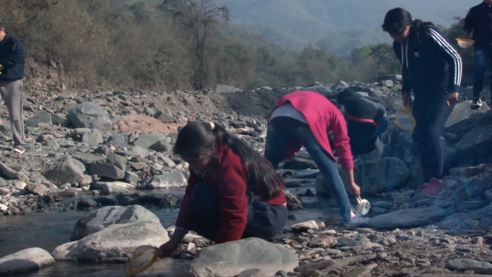 EDUCACIN AMBIENTAL