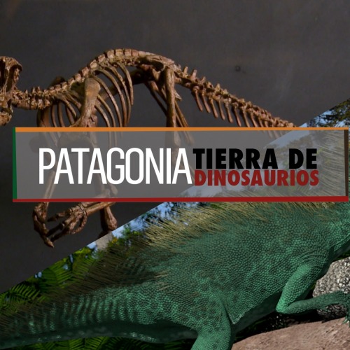 Patagonia tierra de dinosaurios