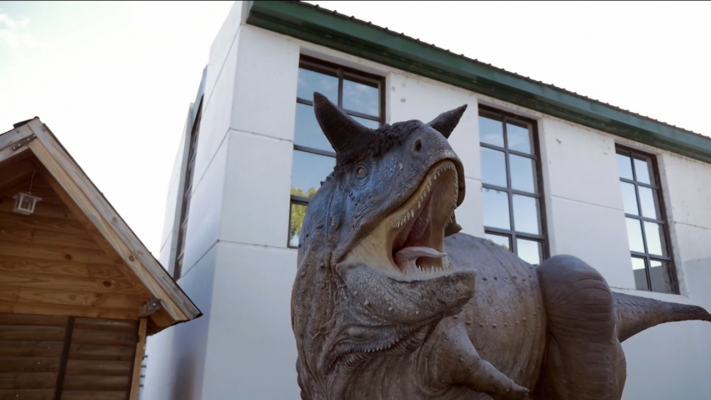 Carnotaurus Sastrei